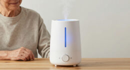 11 Best Humidifiers for Seniors in 2026