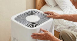 12 Best Dehumidifiers for Senior Bedrooms in 2026