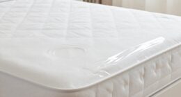 protects mattress cleanliness and comfort